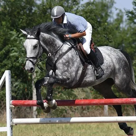 Place In Downtown * Σόφια