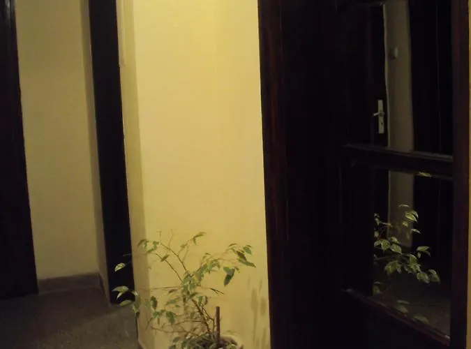 Place In Downtown Apartament *