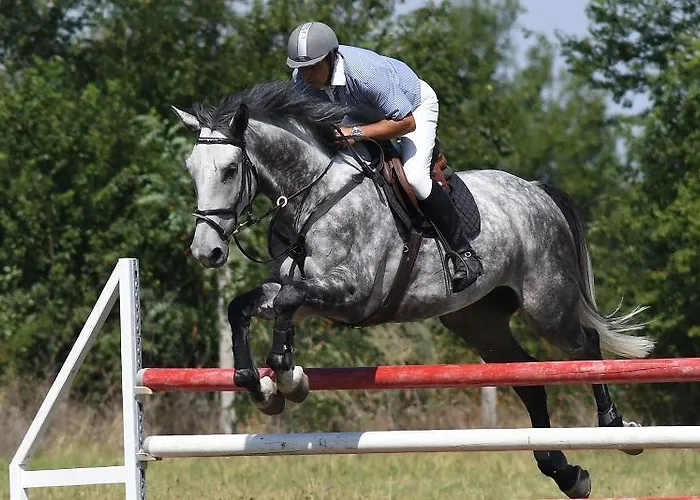 Place In Downtown * ソフィア